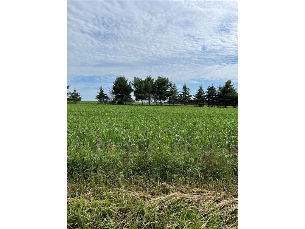 0000 305th Ave, Sheldon, WI 54766 MLS 1566224 Edina Realty