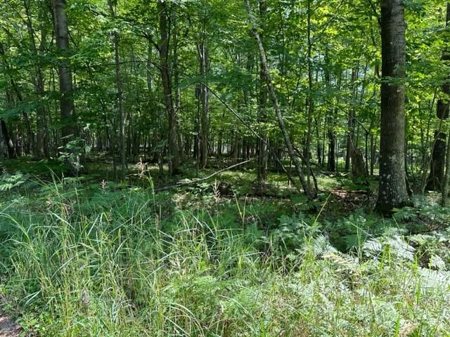 0000 Aspen Terrace Webster WI 54893 1575424 image1