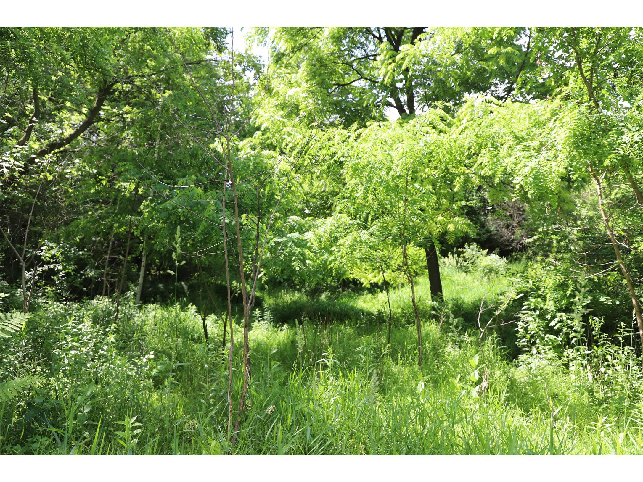 0000 Baker Avenue Amery WI 54001 - North Twin Lake 1602378 image14