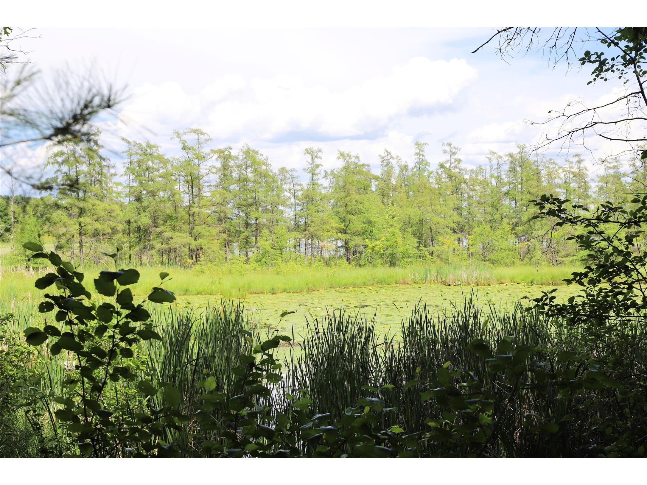 0000 Baker Avenue Amery WI 54001 - North Twin Lake 1602378 image22
