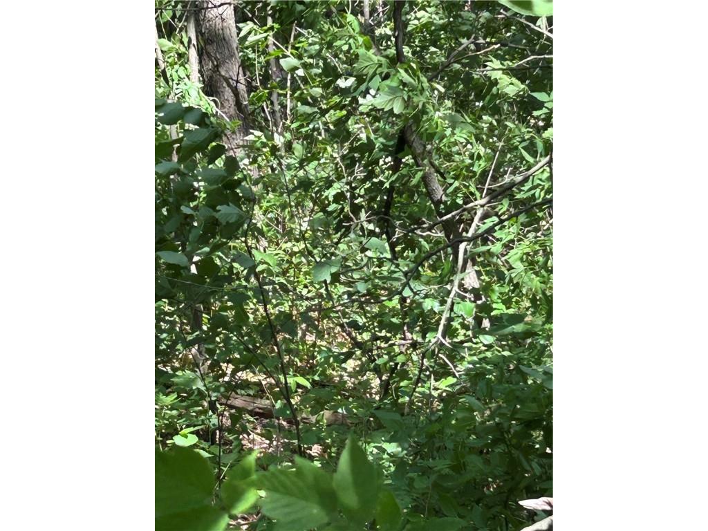 0000 Bernhardt Eau Claire WI 54701 1592963 image4