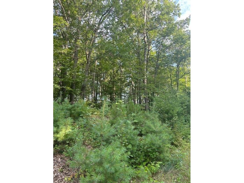 0000 Cesna Ln Lane Spooner WI 54801 1594439 image2