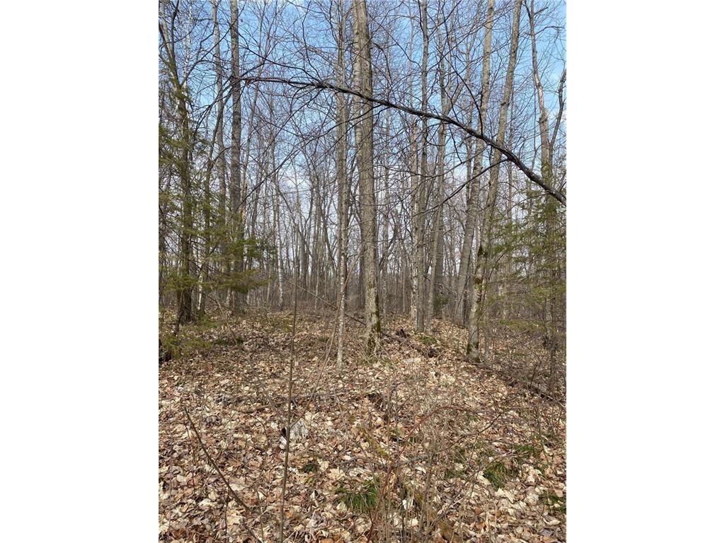 0000 County HWY F, Birchwood, WI 54817 MLS 1551676 Edina Realty