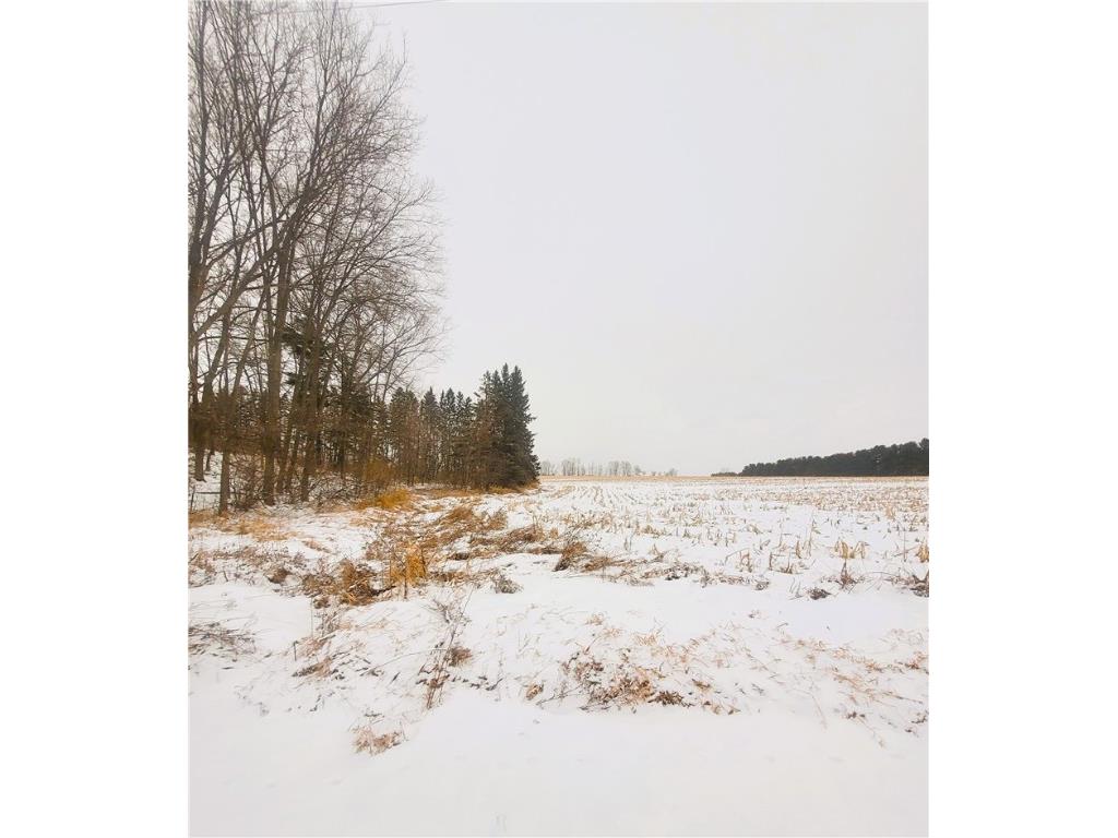 0000 County Hwy B Lot 4 Neillsville WI 54456 1597957 image4