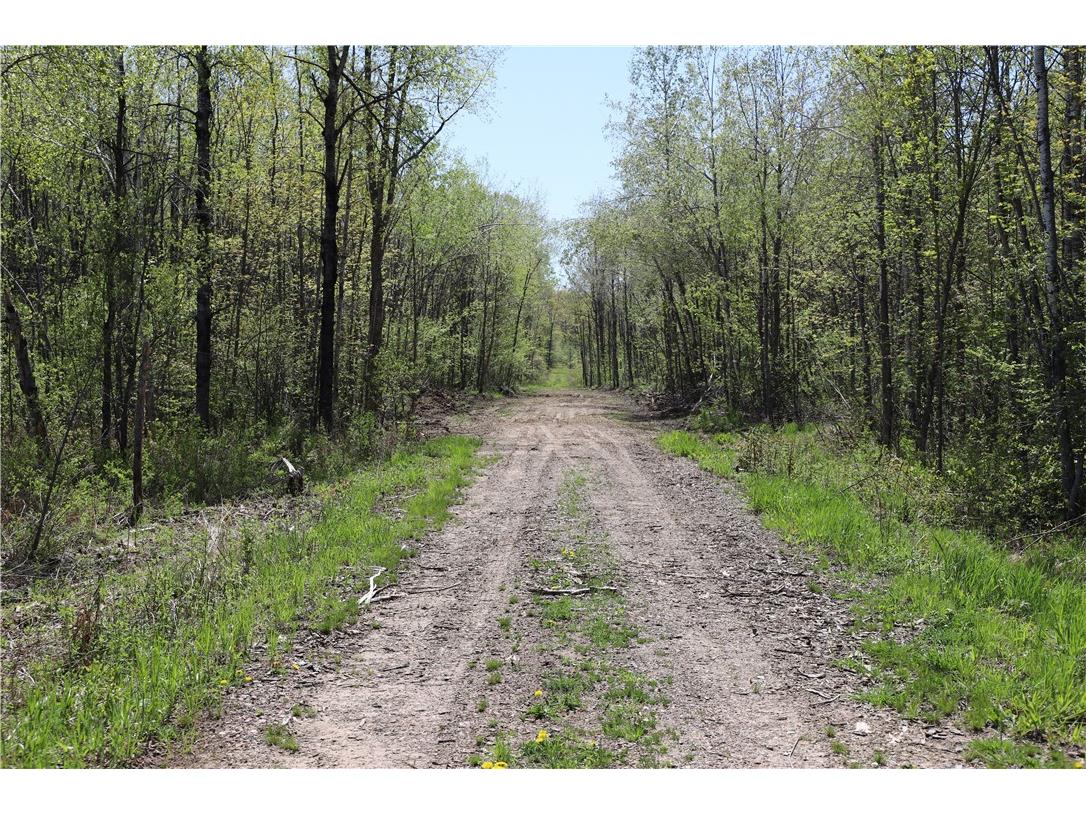 0000 County Road H Bruce WI 54819 1588995 image12