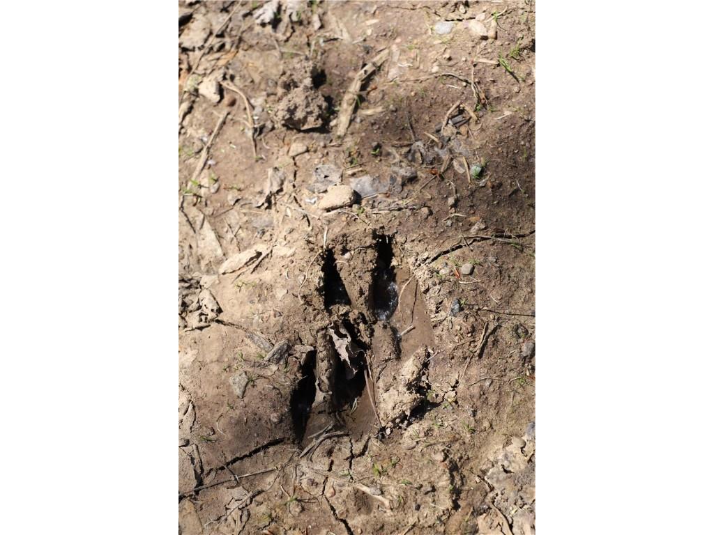 0000 County Road H Bruce WI 54819 1588995 image13