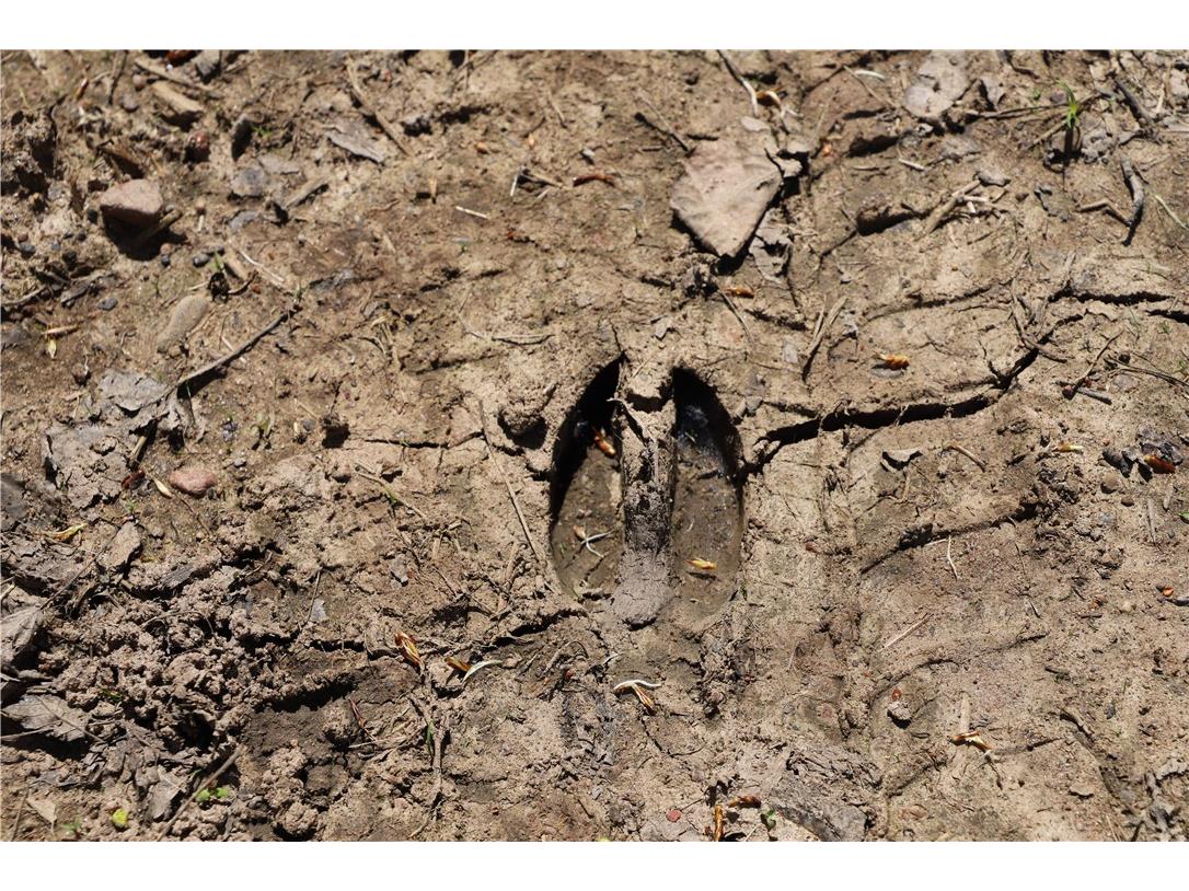 0000 County Road H Bruce WI 54819 1588995 image15