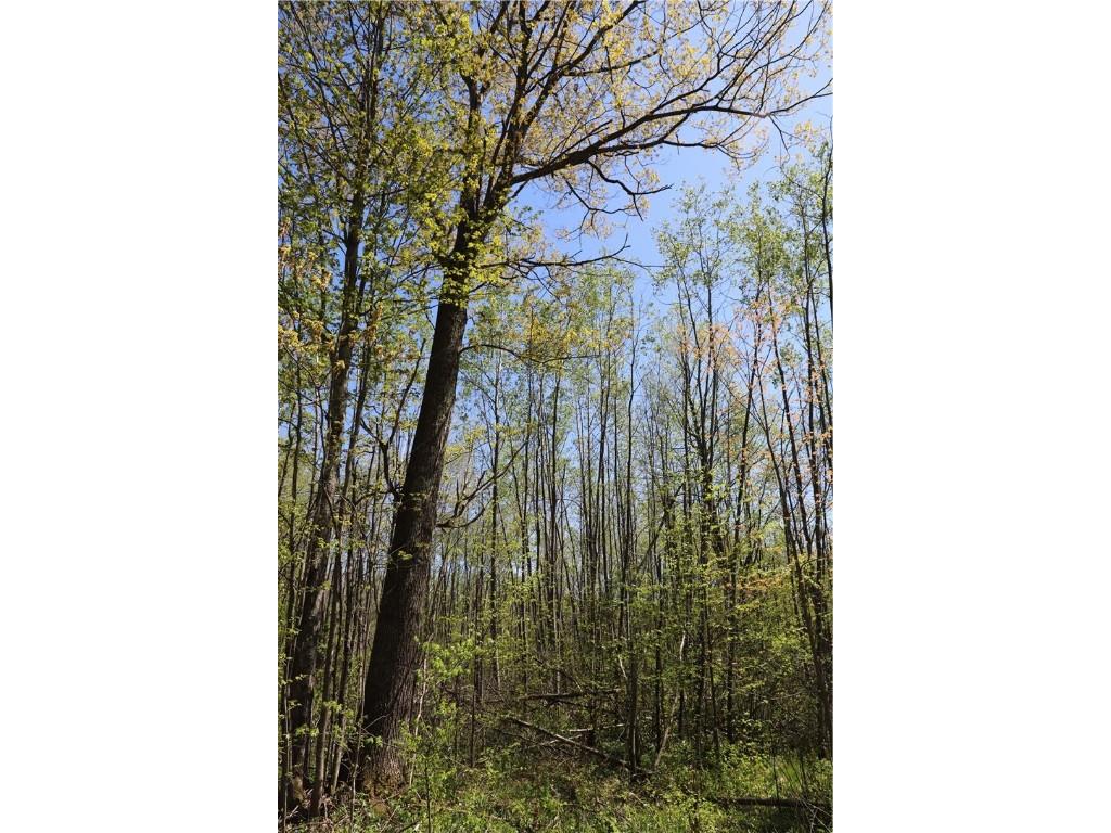 0000 County Road H Bruce WI 54819 1588995 image16