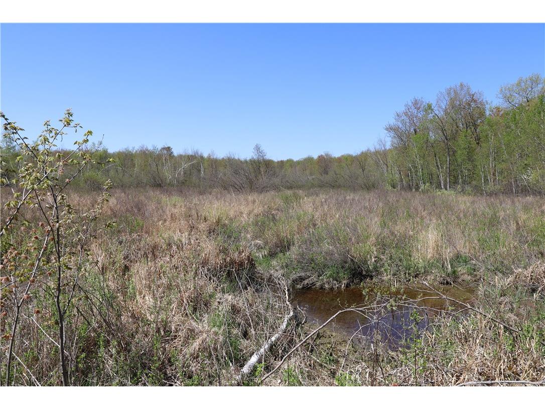 0000 County Road H Bruce WI 54819 1588995 image18