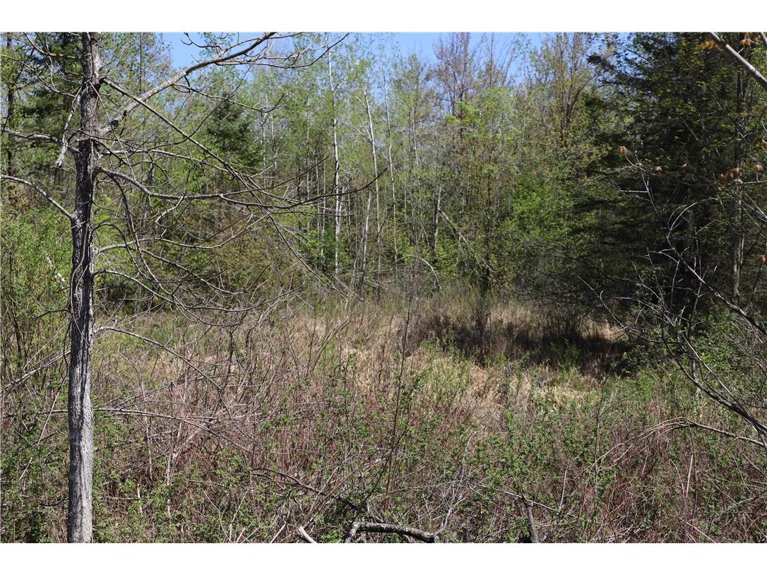 0000 County Road H Bruce WI 54819 1588995 image19