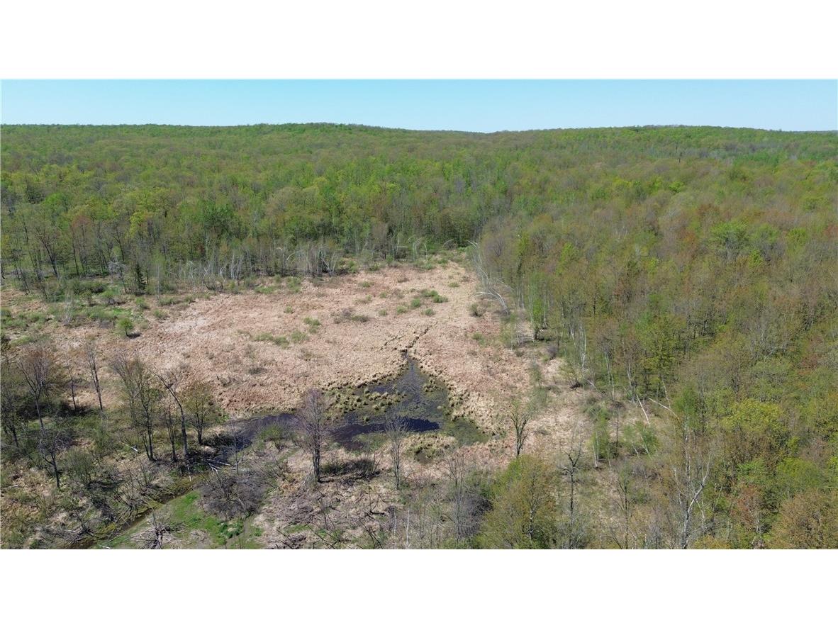 0000 County Road H Bruce WI 54819 1588995 image2