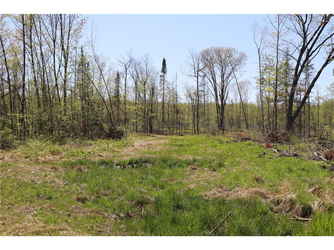 0000 County Road H Bruce WI 54819 1588995 image20