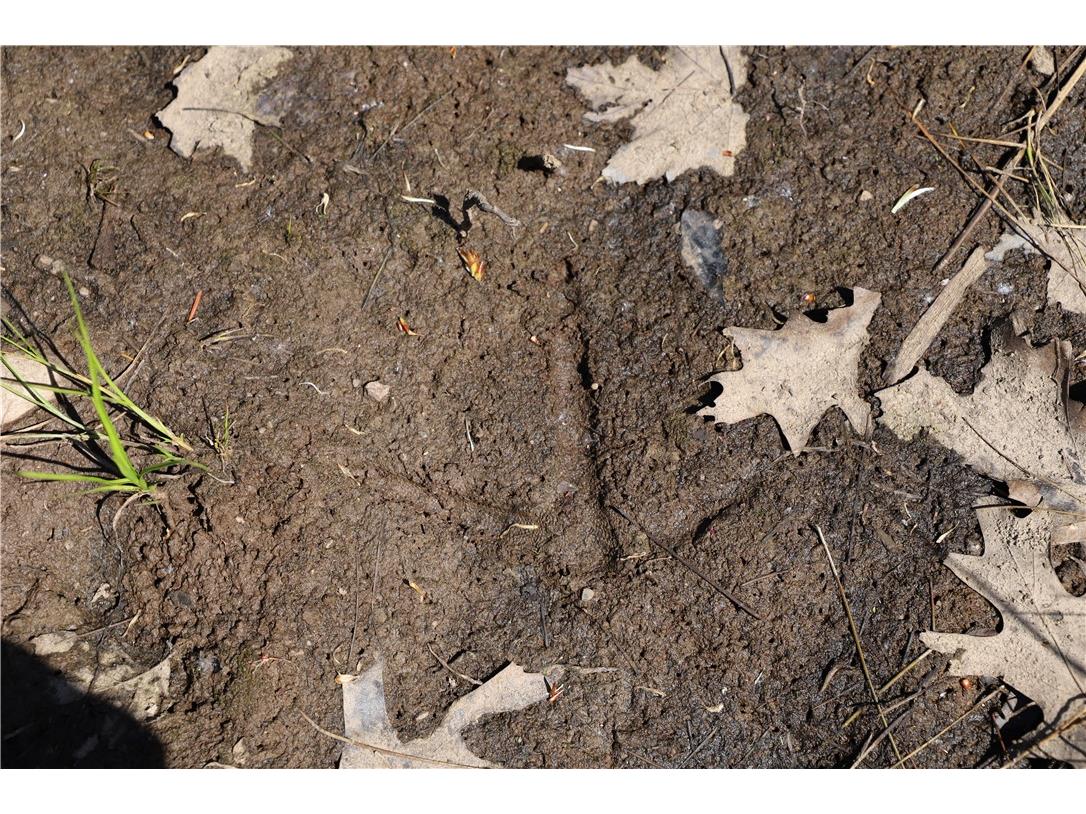 0000 County Road H Bruce WI 54819 1588995 image21