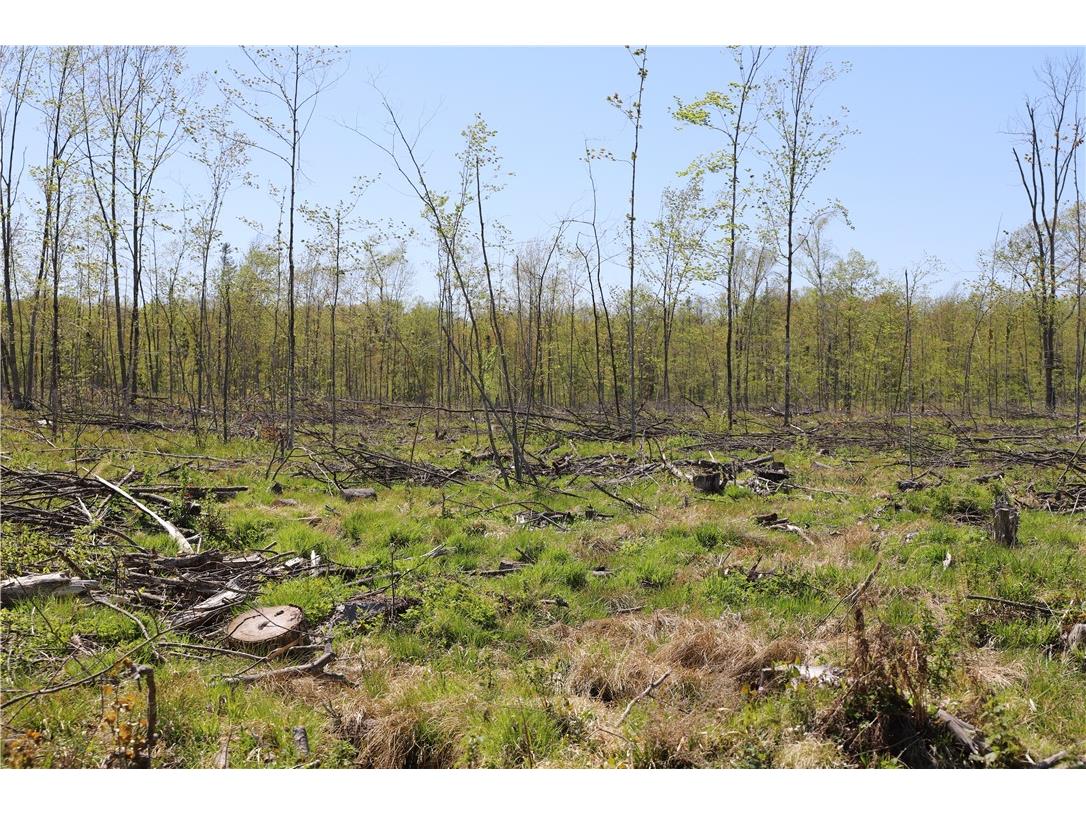 0000 County Road H Bruce WI 54819 1588995 image22