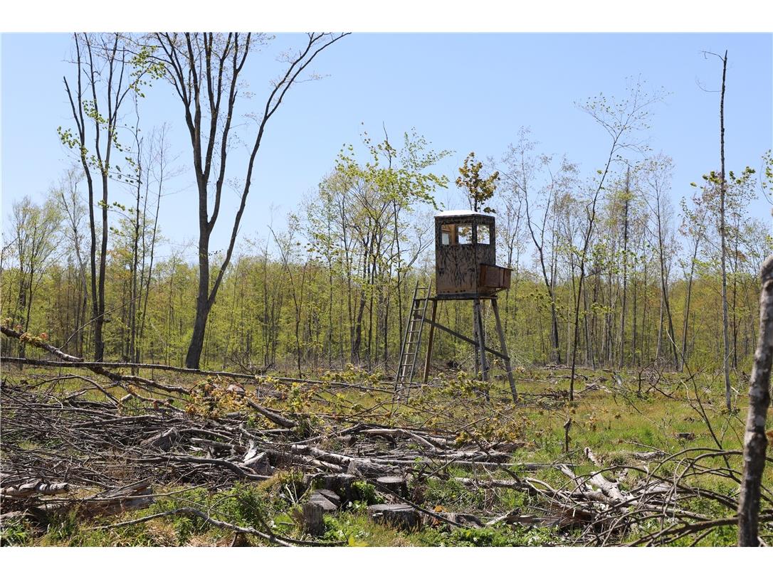 0000 County Road H Bruce WI 54819 1588995 image23