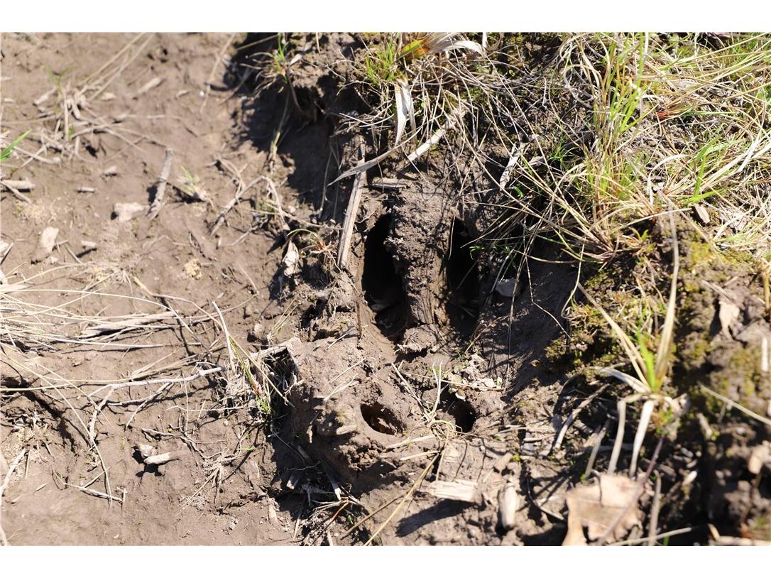 0000 County Road H Bruce WI 54819 1588995 image24