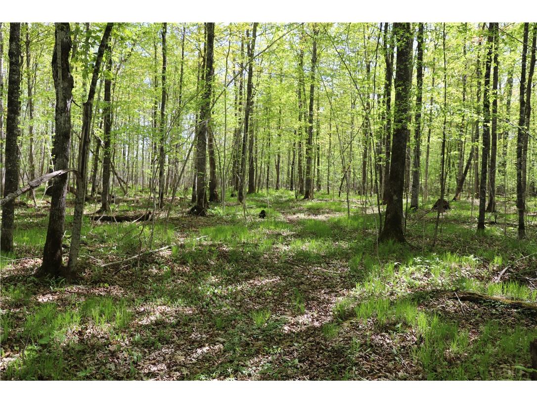 0000 County Road H Bruce WI 54819 1588995 image26