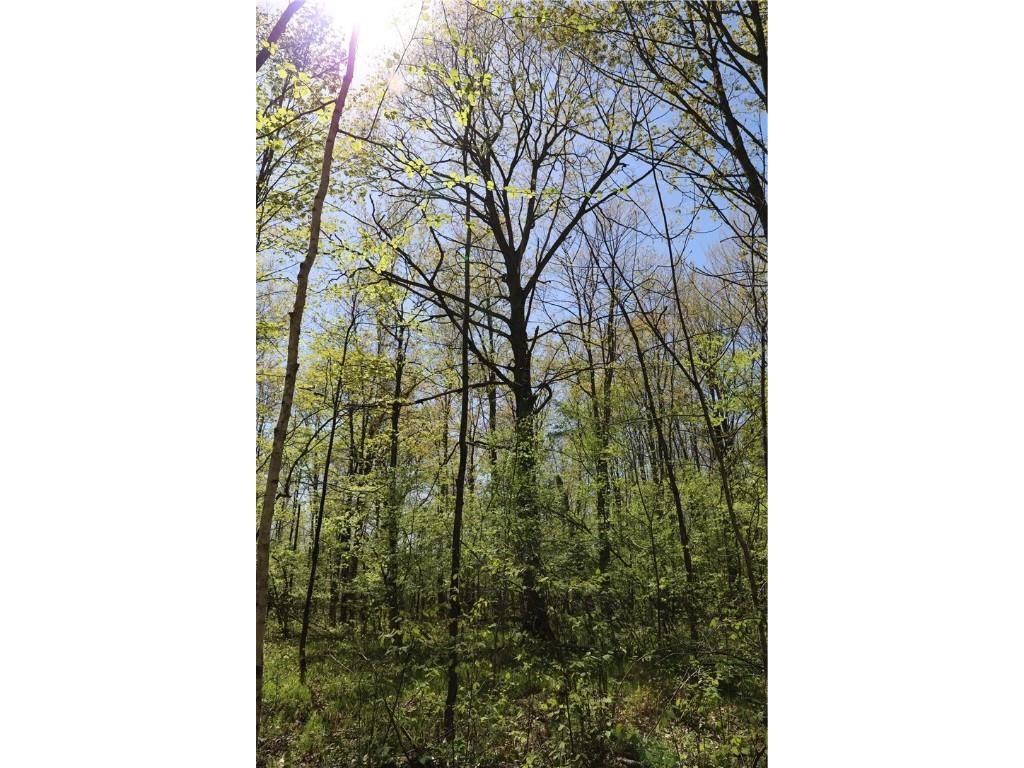 0000 County Road H Bruce WI 54819 1588995 image27