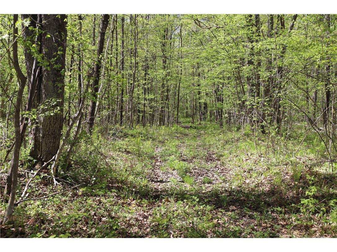 0000 County Road H Bruce WI 54819 1588995 image28