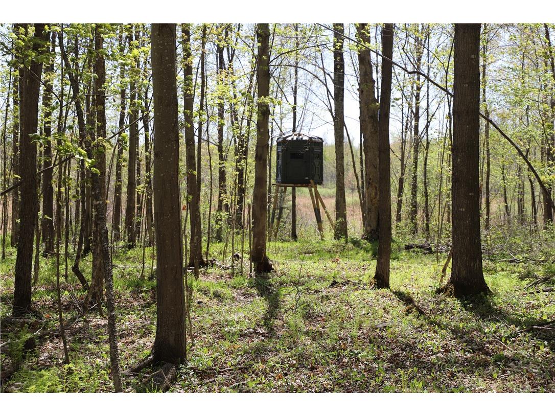 0000 County Road H Bruce WI 54819 1588995 image29