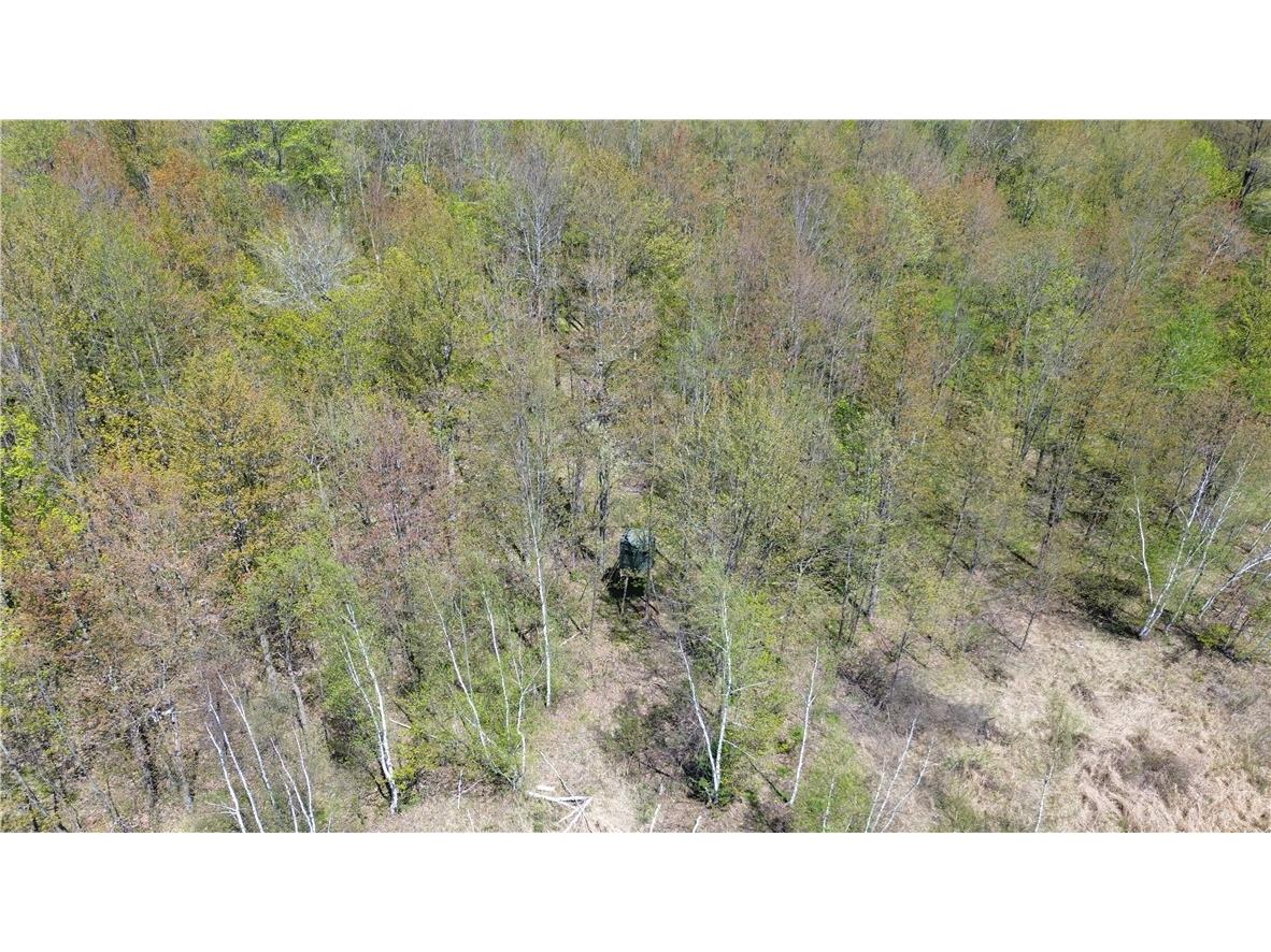 0000 County Road H Bruce WI 54819 1588995 image3