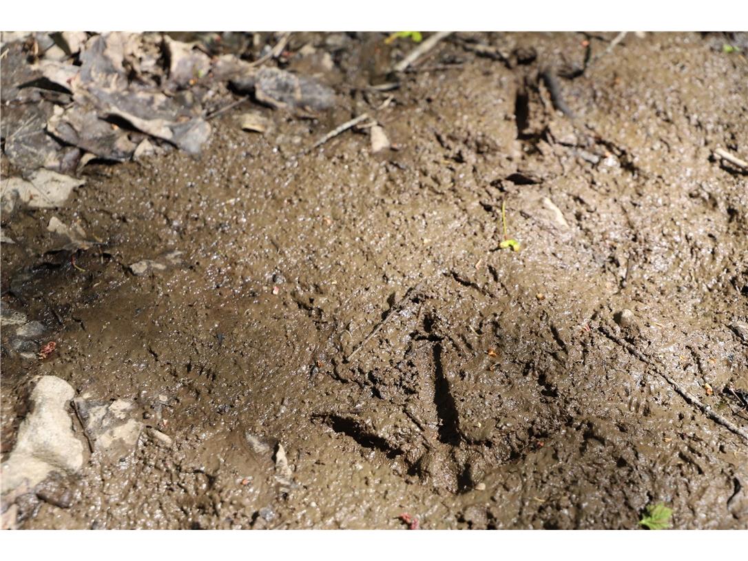 0000 County Road H Bruce WI 54819 1588995 image31