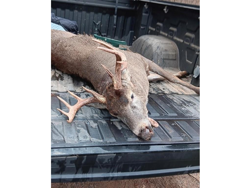 0000 County Road H Bruce WI 54819 1588995 image32