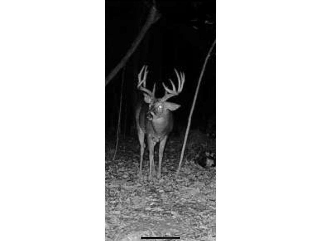 0000 County Road H Bruce WI 54819 1588995 image34