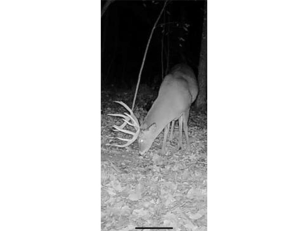 0000 County Road H Bruce WI 54819 1588995 image35