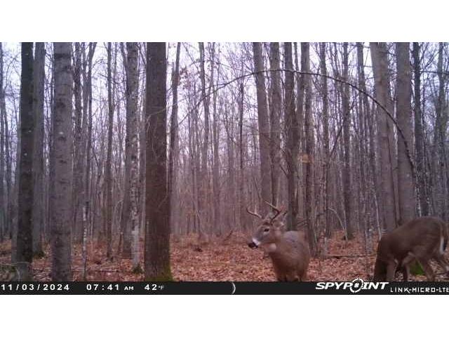 0000 County Road H Bruce WI 54819 1588995 image36