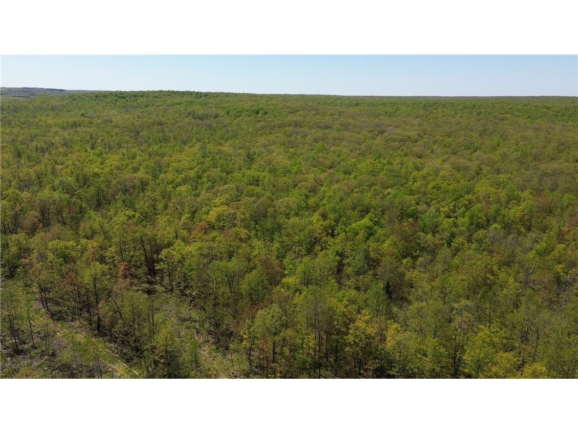 0000 County Road H Bruce WI 54819 1588995 image8