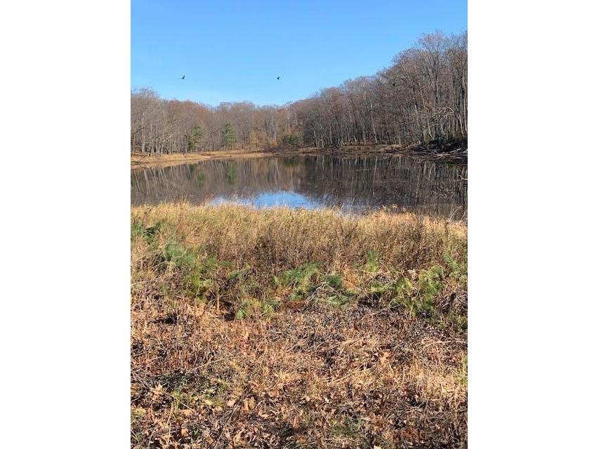 0000 Hwy 53, Sarona, WI 54870 MLS 1569852 Edina Realty