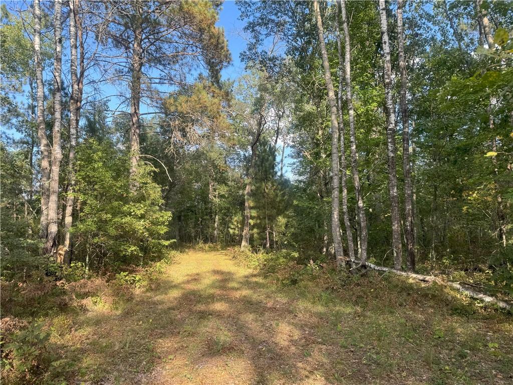 0000 Lincoln Lake Road Trego WI 54888 1585803 image1