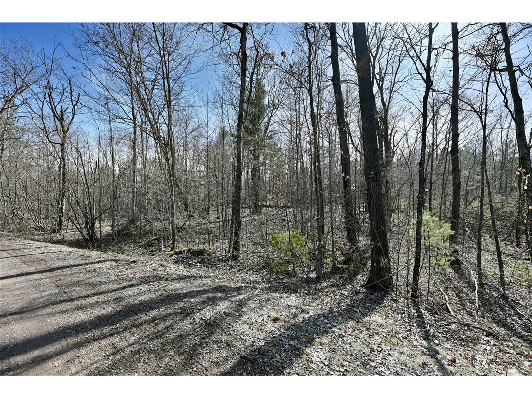 0000 Sunset Pines Drive Sarona WI 54870 - Pavlaqs 1580173 image1