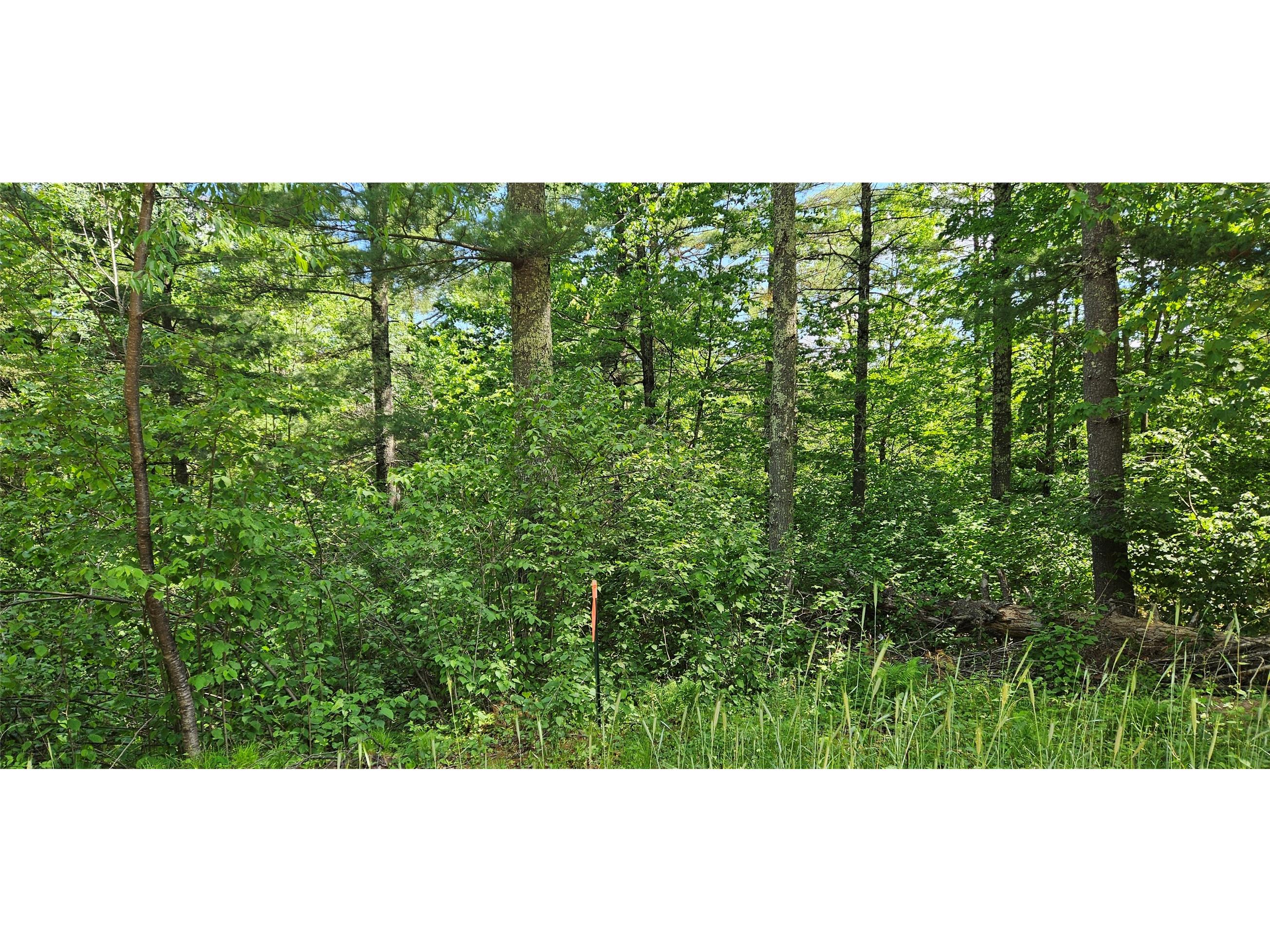 0000 Windrose Lane Hayward WI 54843 1602645 image1