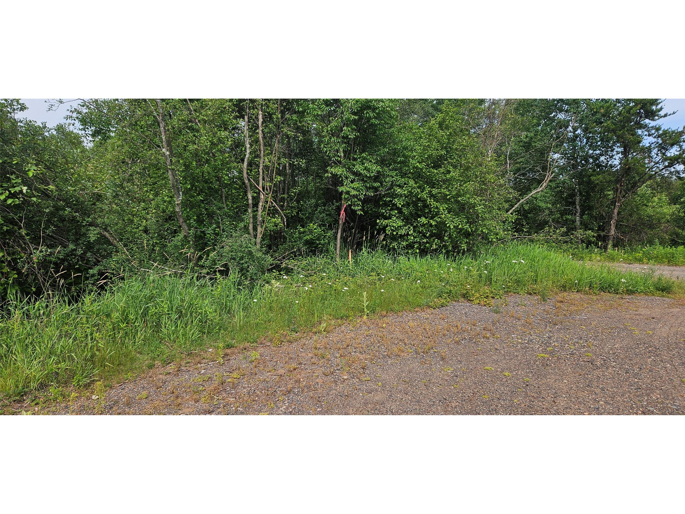 0000 Windrose Lane Hayward WI 54843 1602645 image9