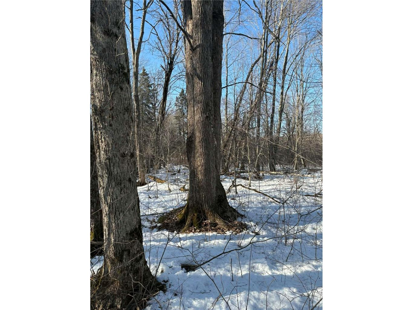 0000 Winter Rd Ladysmith WI 54848 1599005 image2