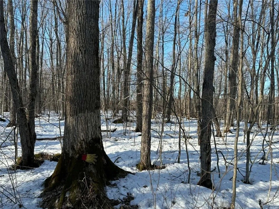 0000 Winter Road Ladysmith WI 54848 - THORNAPPLE 1601385 image8