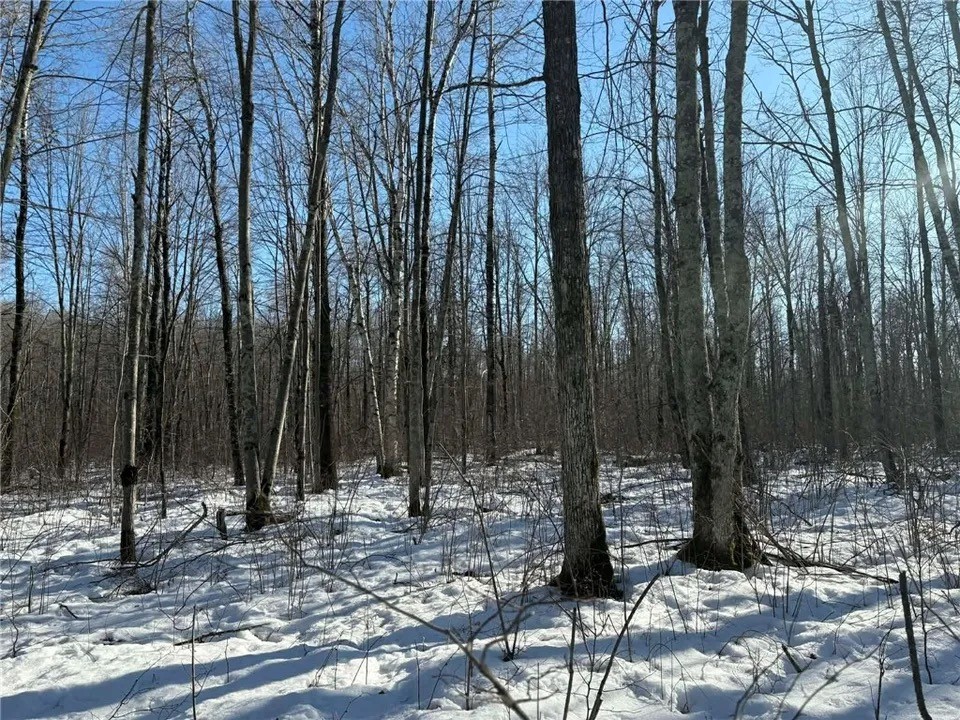 0000 Winter Road Ladysmith WI 54848 - THORNAPPLE 1601385 image9