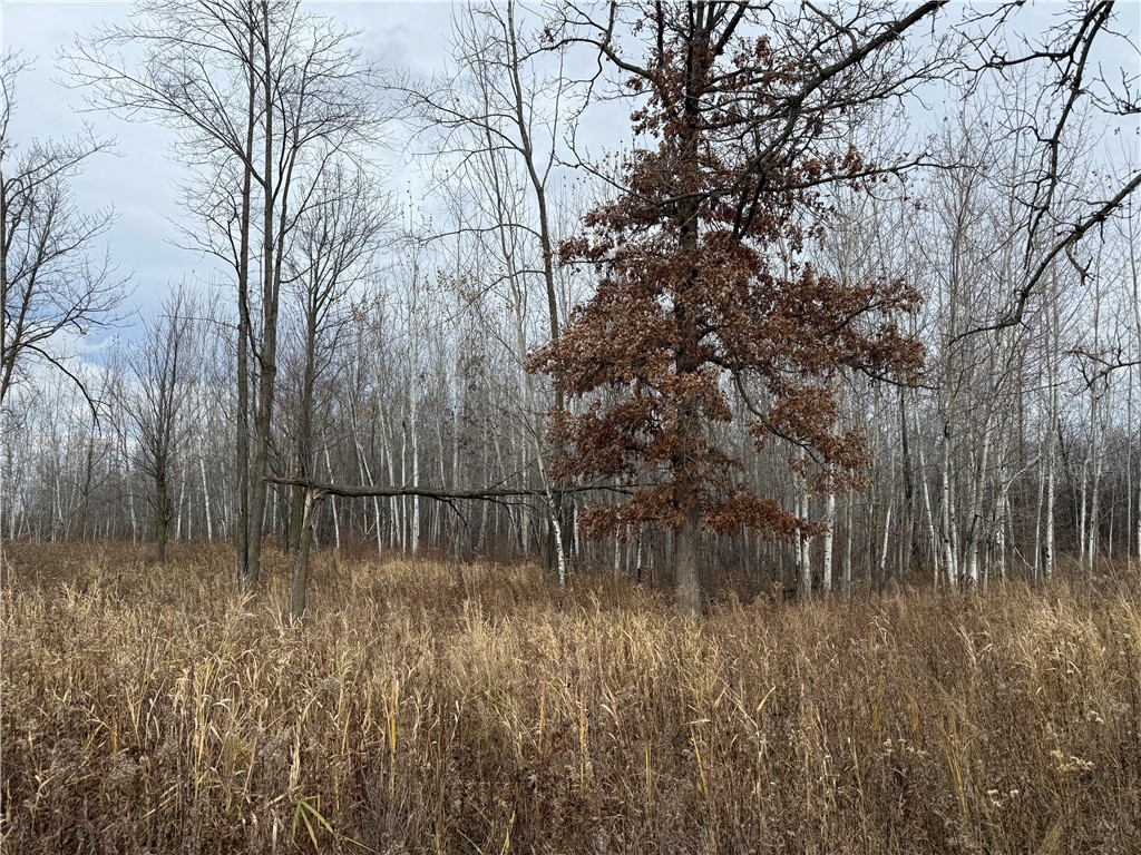 0000 Woody Lane Gilman WI 54433 1596873 image2