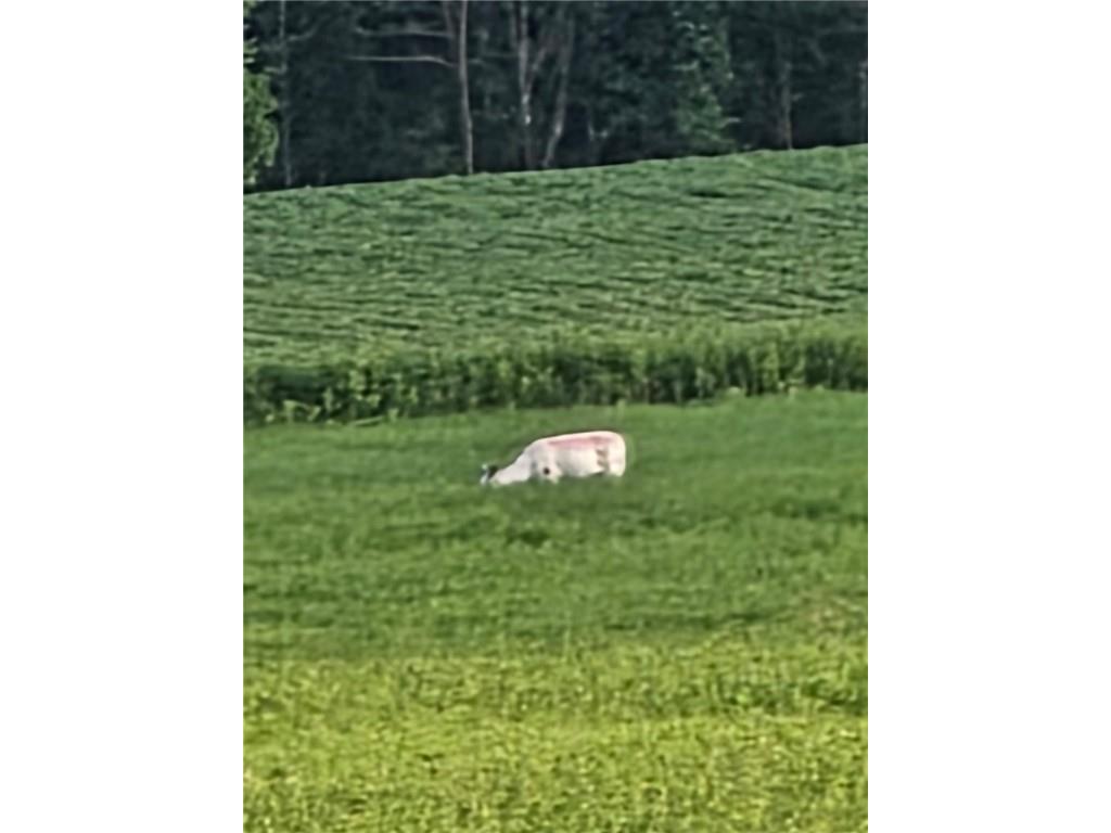 0000 Woody Lane Gilman WI 54433 1596873 image21