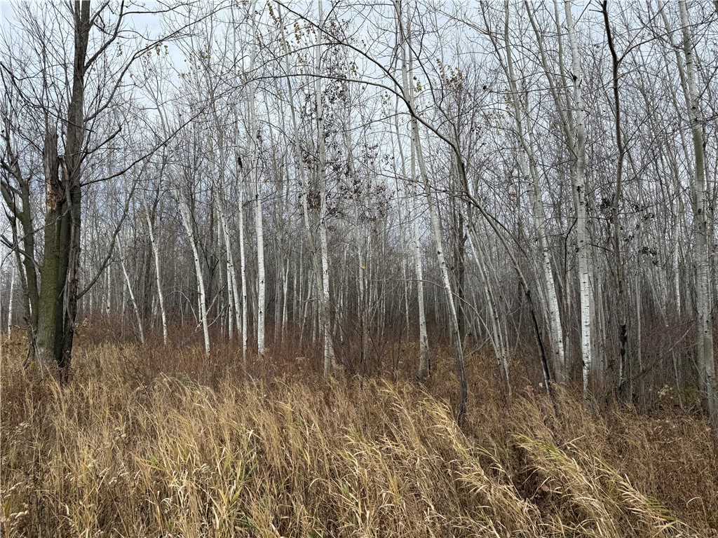 0000 Woody Lane Gilman WI 54433 1596873 image3