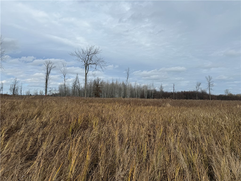 0000 Woody Lane Gilman WI 54433 1596873 image8