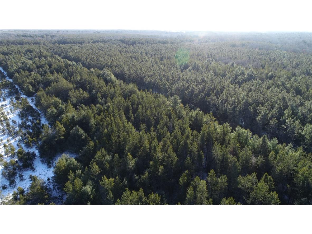 00000 Black Brook Road Webster WI 54893 1588390 image1