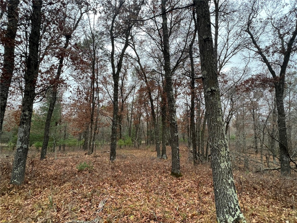 00000 Cemetery Road Grantsburg WI 54840 1578206 image1
