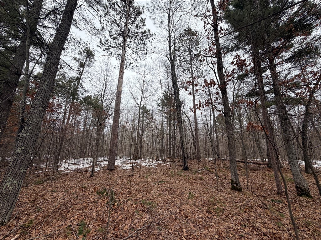 00000 Cty Rd H Danbury WI 54830 1599014 image1