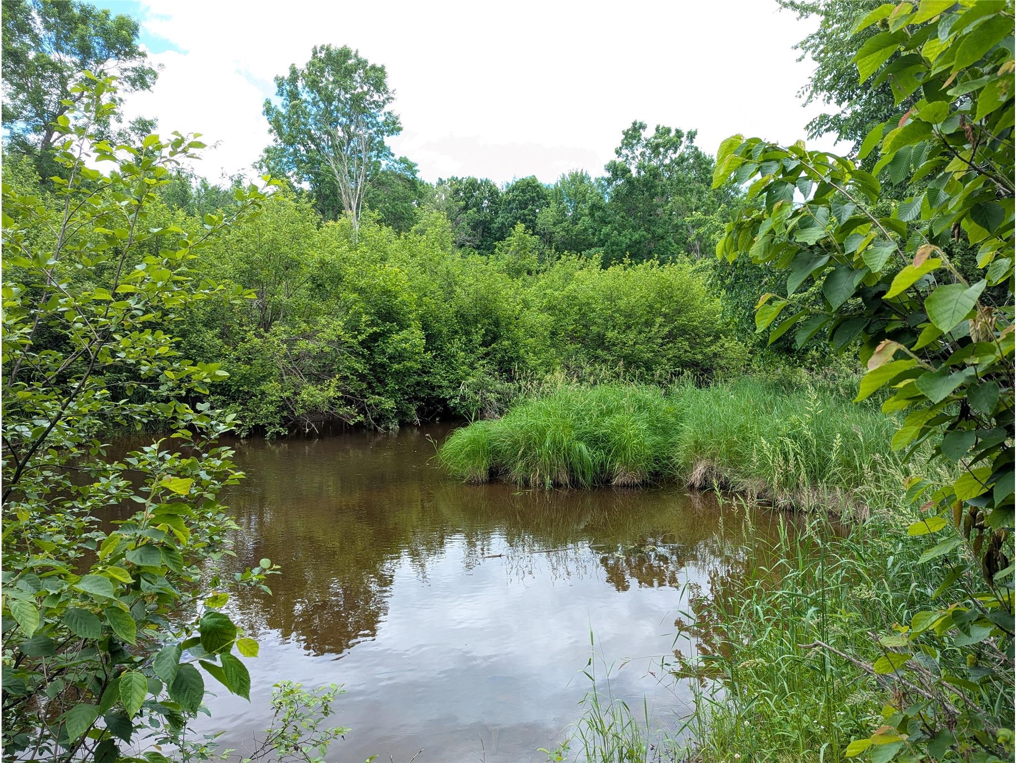 00000 Walrath Road Glen Flora WI 54526 - South Fork Main 1602459 image3