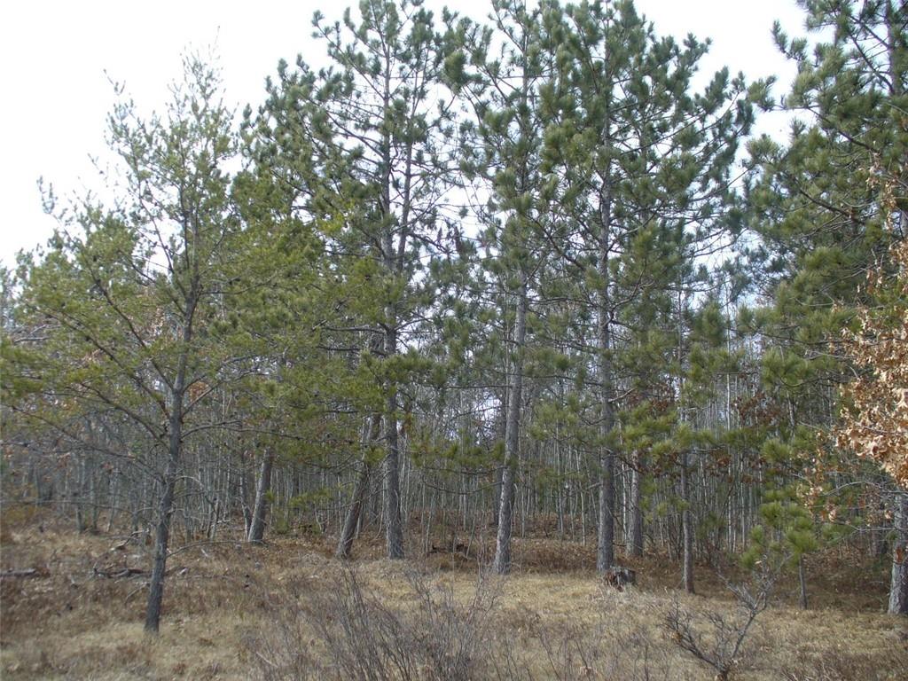 000000 Peninsula Road Minong WI 54859 1579774 image1