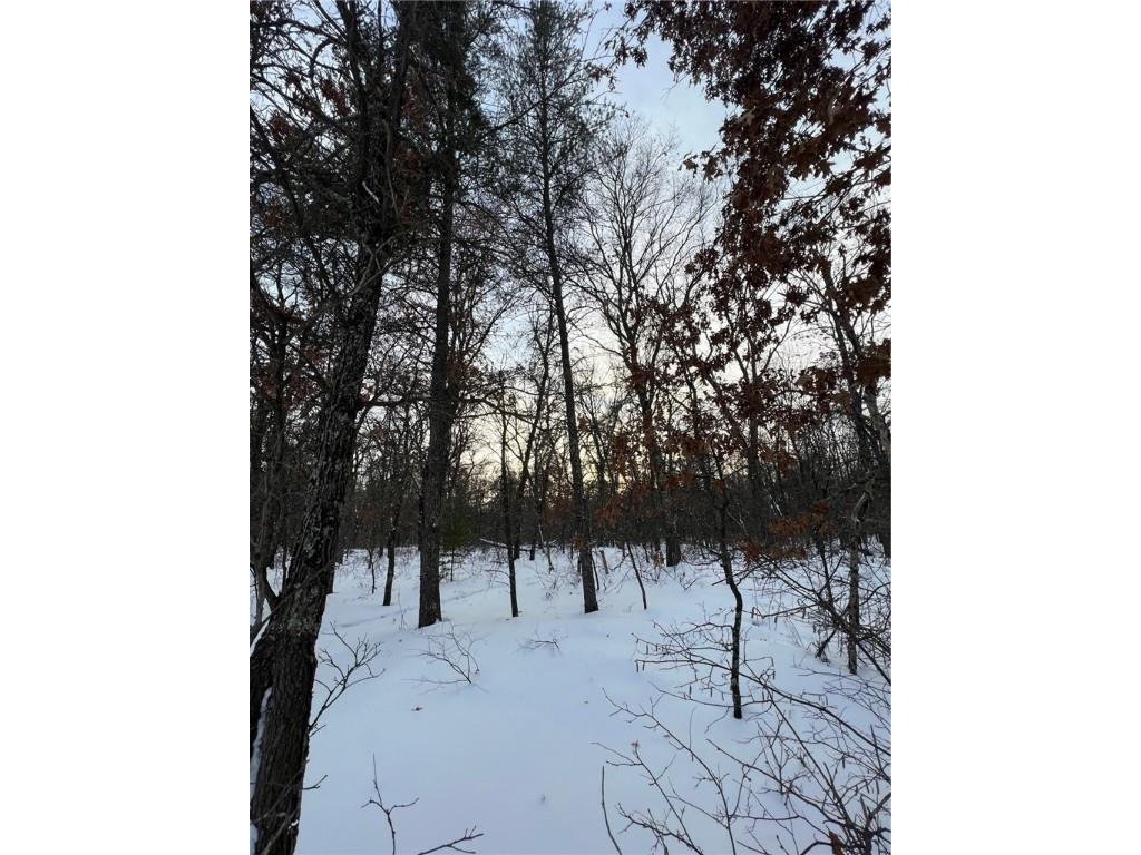 0000N Borg Road Grantsburg WI 54840 1571278 image1