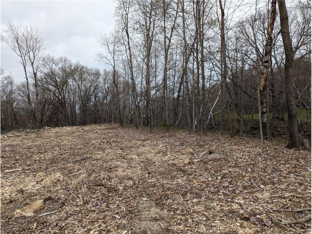 002 770th Avenue Colfax WI 54730 1581468 image12